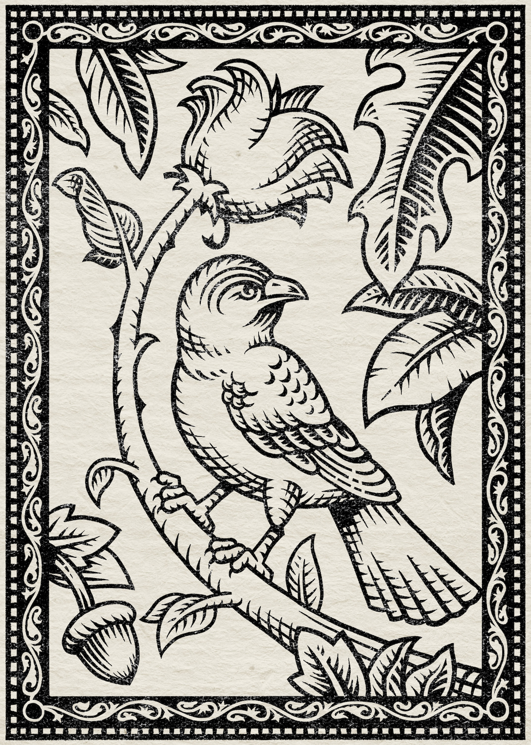 Bird illustration 1