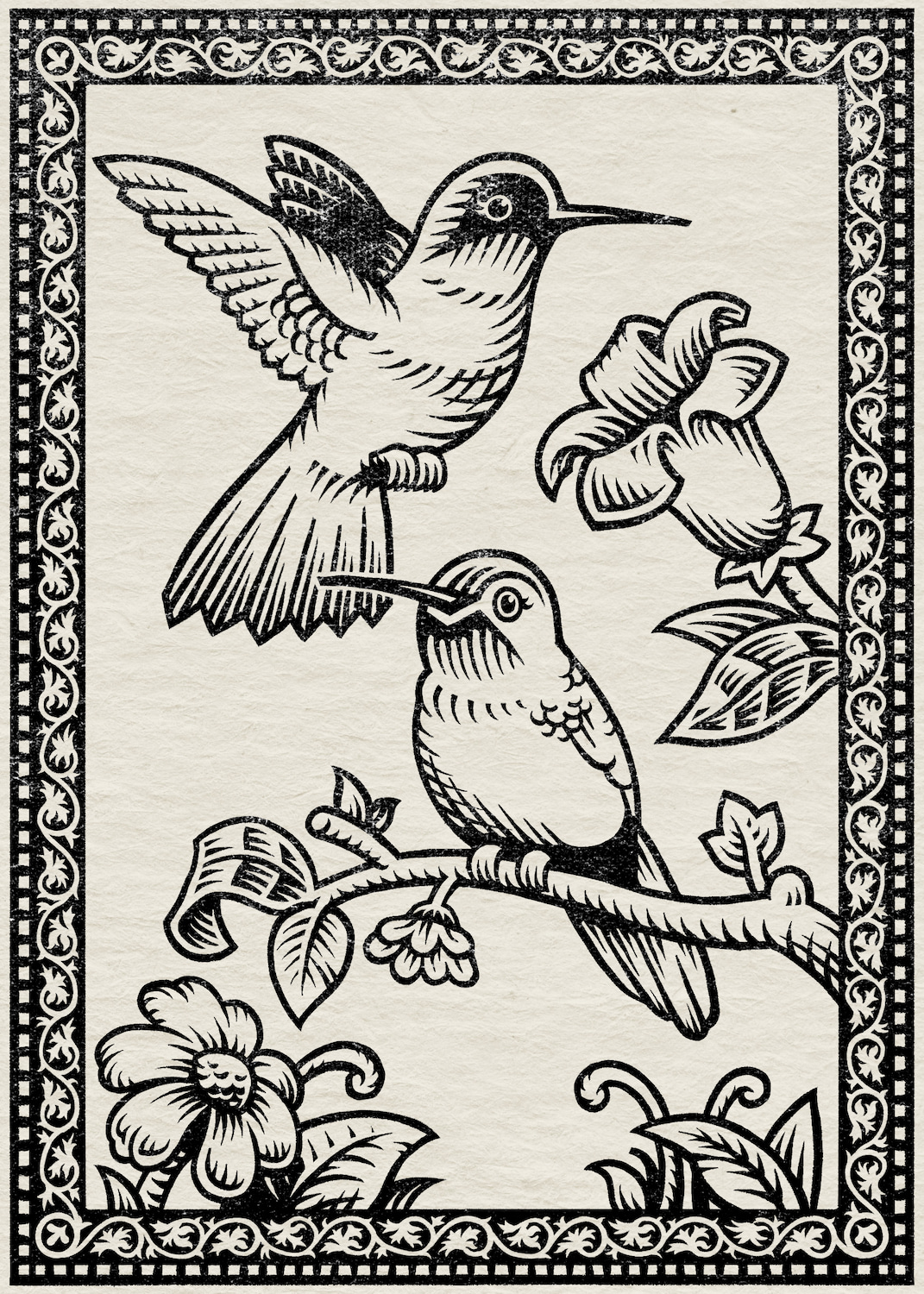 Bird illustration 3