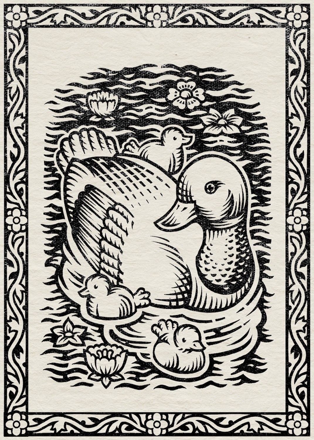 Bird illustration 4